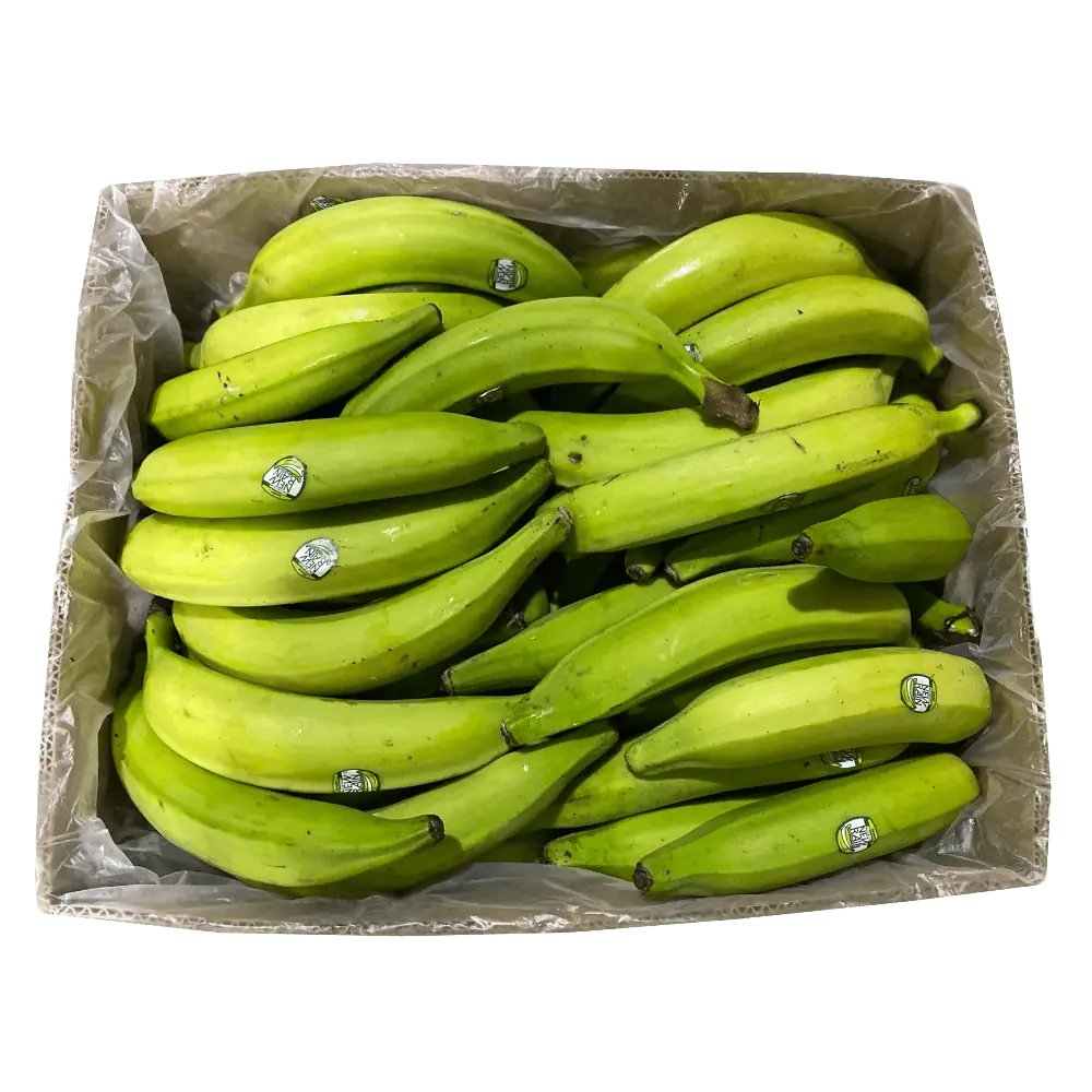 Green Plantain carton